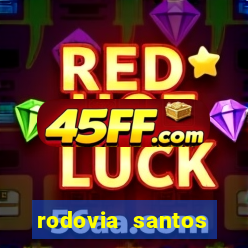 rodovia santos dumont br-116
